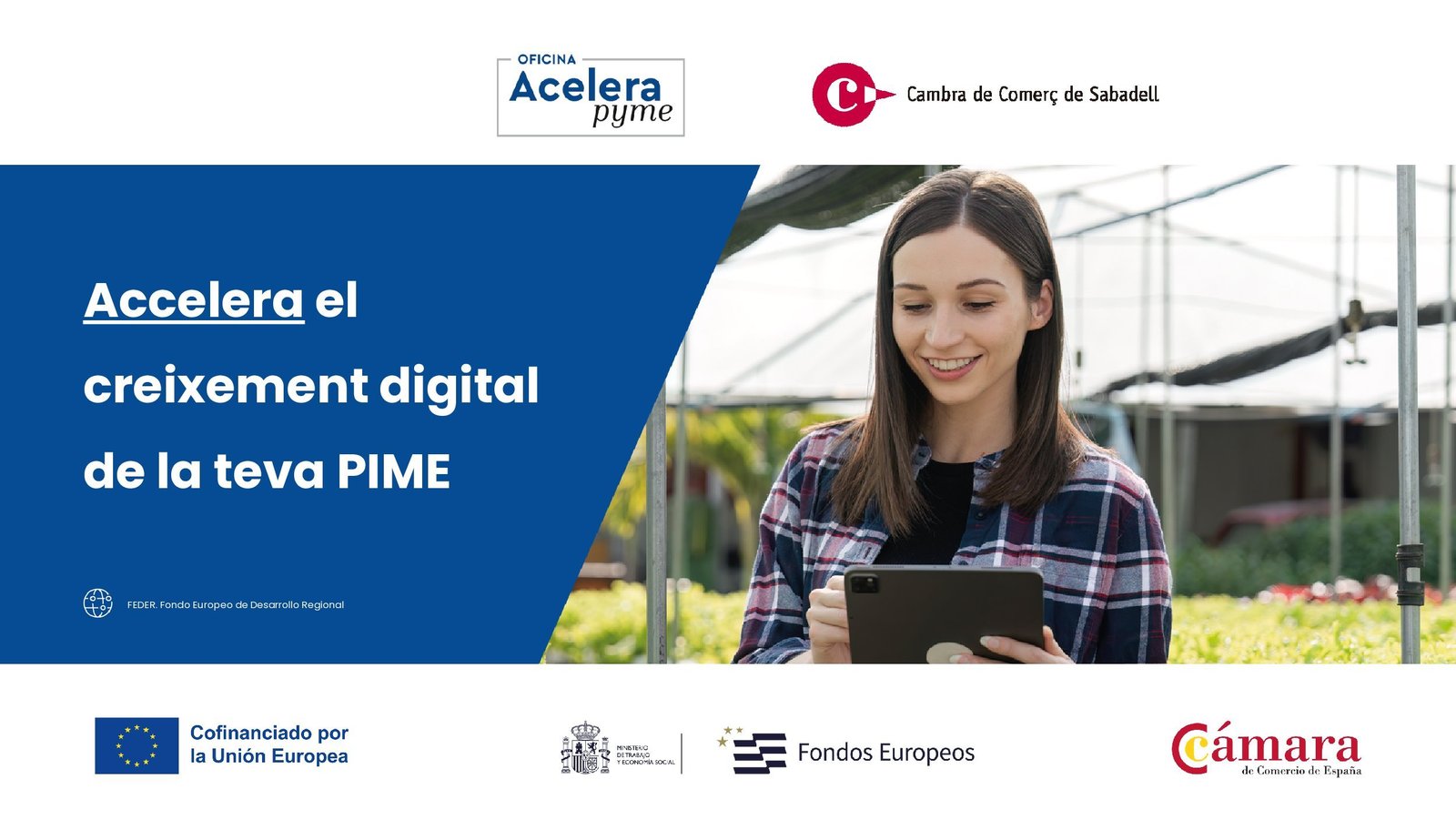 Cartell AceleraPyme